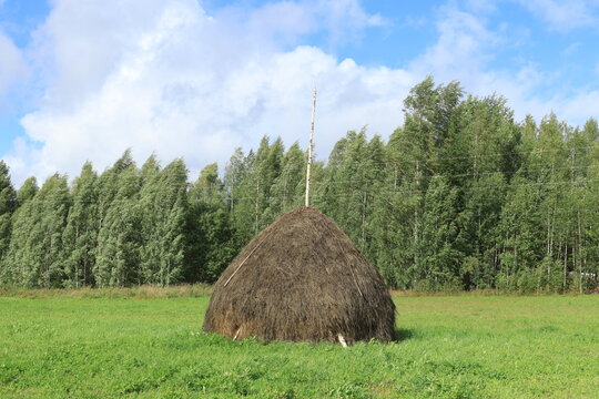 hay bales in the field