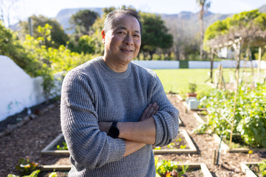 Mature Asian man standing with arms crossed in home garden wearing grey sweater among raised beds