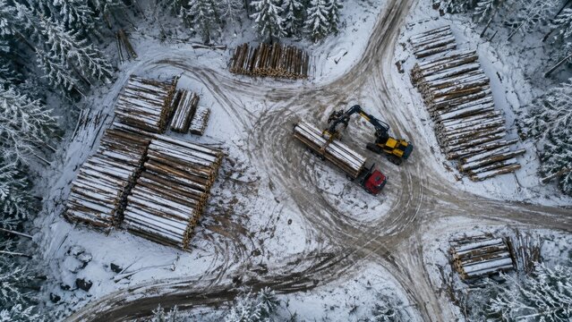 Logging Yard Covered in Winter Snow