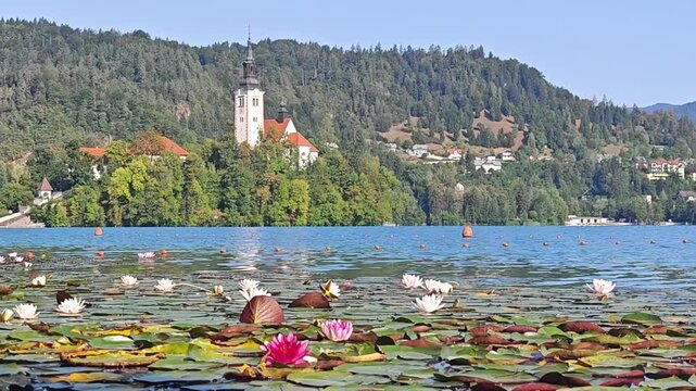 Scenic view of Lake Bled and St. Martin's Parish Church in Slovenia, with colorful water lilies in the foreground and lush green hills surrounding the lake.
