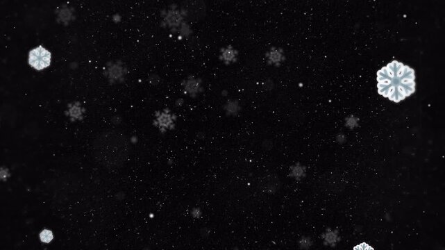 Gentle Snowflakes Falling Slowly Against A Dark Black Background.