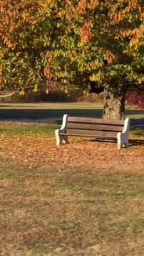 bench in autumn park