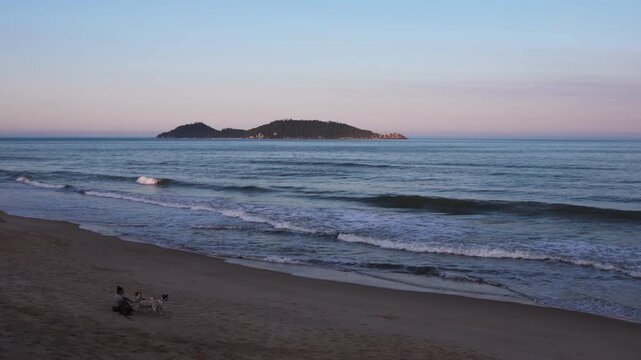 Person with dogs on a tropical beach during late afternoon sunset with an island in the background
Silhouette of a person and pets on an exotic tropical shore with an island at golden hour