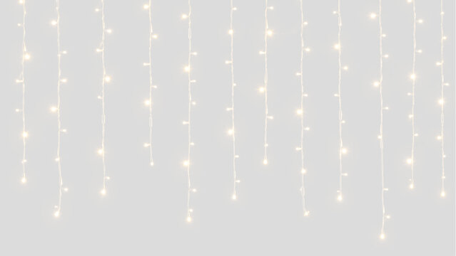 Curtain of hanging fairy lights on transparent background. Vertical icicle light strands for wedding backdrop and holiday decoration