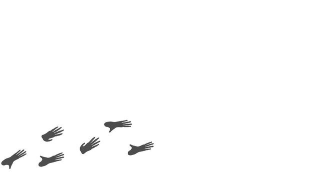 Animal paw prints. Footprints walking animal on a trajectory of movement. Orangutan  paw prints  on a white background.  4K.  Animated Video