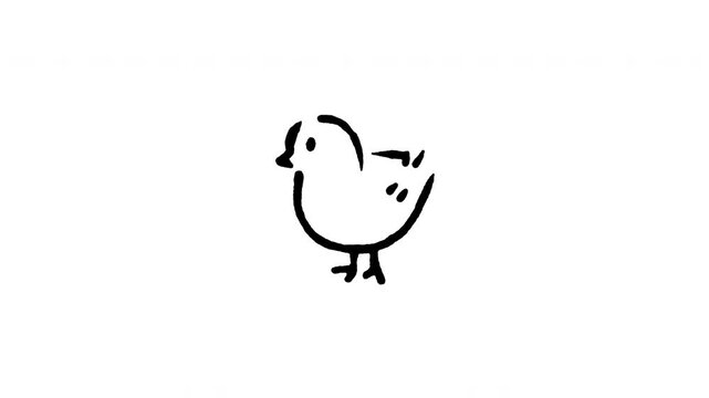 Animated doodle icon of a standing cute little baby chick bird for spring.