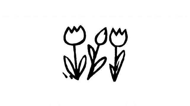 Animated doodle icon of blooming tulip flowers growing in a spring garden.