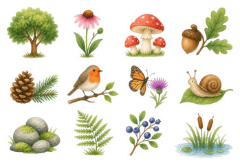Obraz premium Botanical woodland clipart collection with animals and plants, PNG, transparent background