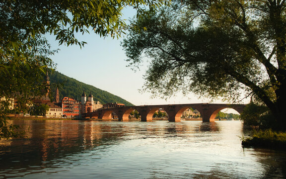 The Old Bridge and Neckar river framed with silhouetted beautiful trees in Heidelberg, Germany, in sunset light