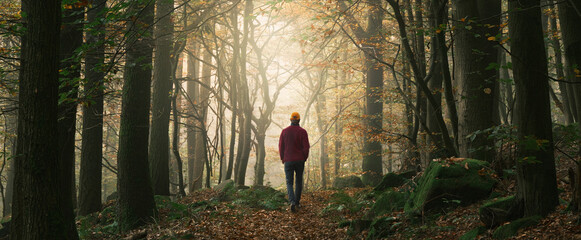 Obraz premium Hiker walking into the light in a fairy tale dreamy scene in a forest with a soft beam in the fog. A panoramic autumn landscape shot with beautiful magical mood 