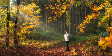 Obraz premium Young Man enjoying a walk on a picturesque forest path on a sunny warm autumn day