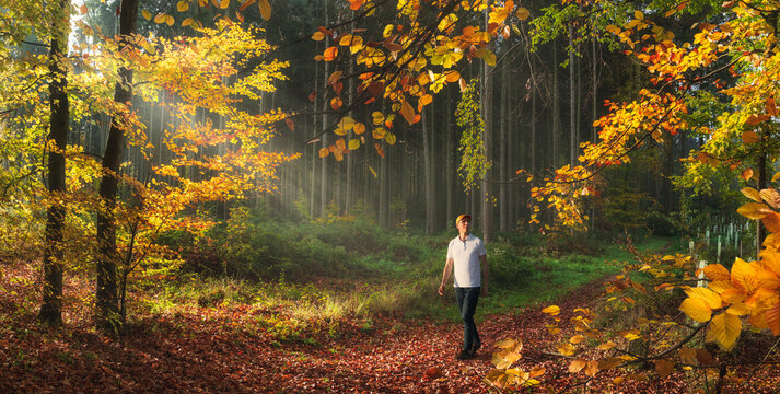 Young Man enjoying a walk on a picturesque forest path on a sunny warm autumn day