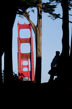 Golden Gate Bridge framed by cypress trees with a silhouetted person in Presidio, San Francisco, California. g.