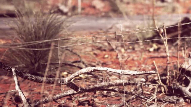 A fence post is seen with barbed wire attached to it in a dry and barren area. The ground is red and dry, with patches of grass scattered around. The scene shows no signs of recent rain.
