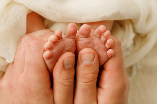 Close-up macro shot of adult hands gently holding tiny newborn baby feet wrapped in white cloth. Concept of parental love, protection, family bond, and infancy.