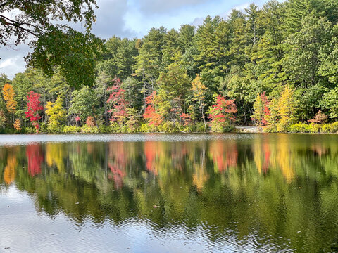 Herbstlich verf&auml;rbter Wald spiegelt sich in einem stillen See
