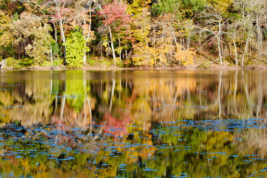 Herbstlich verf&auml;rbter Wald spiegelt sich in einem stillen See