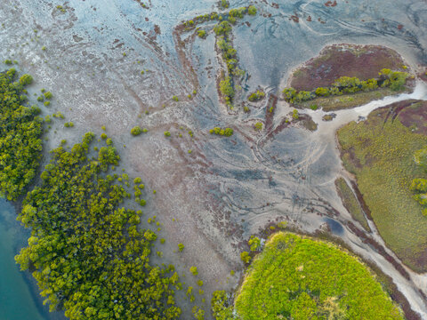 Aerial view of coastal wetlands and mangrove landscape patterns