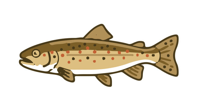 30-Degree Isometric Vector Icon Of Image Flat Design Color Icon Of A Brown Trout