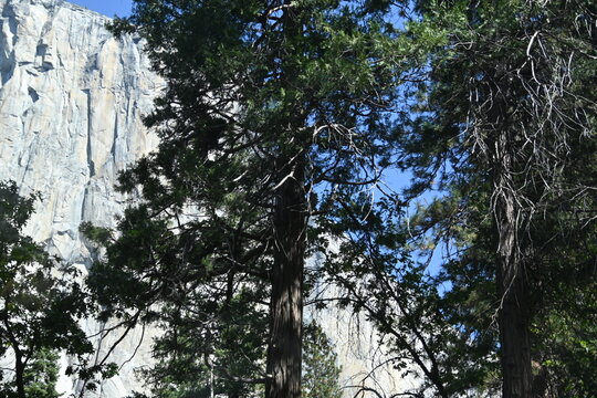 breathtaking Yosemite