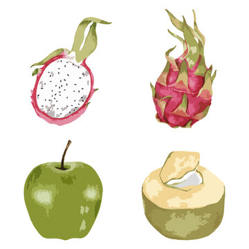 Vectorized fruit sticker with a white border set