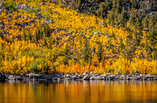 Autumn color paints a hillside on Lake Sabrina in the Sierra Nevada mountains of California