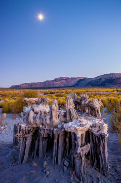 Sand tufa formations at Mono Lake in eastern California