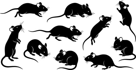 Obraz premium Black silhouettes of nine mice in various poses and movements on white background vector illustration design