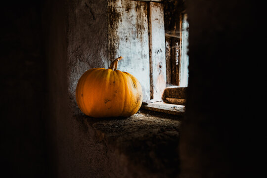 spooky Halloween background with jack'o'lanterns in the night

