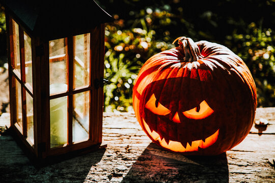 spooky Halloween background with jack'o'lanterns in the night

