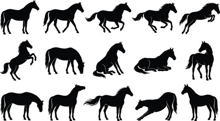 Fototapeta premium Set of fifteen black horse silhouettes showing different animal behaviors like walking, jumping, sitting, and grazing on white background