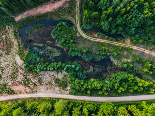 Fototapeta premium Aerial view of lush green forest with winding dirt road. Small water bodies reflect sunlight amid dense trees. Bare earth contrasts with vibrant foliage. Bird eye view on nature scenery,