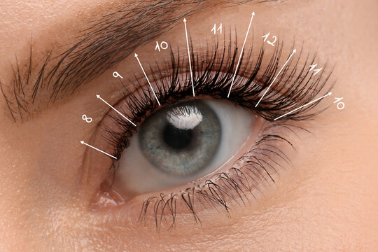 Woman with lash mapping, closeup. Eyelash extensions