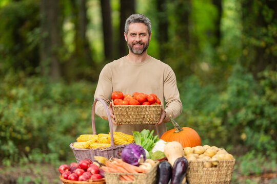 Greengrocer selling tomato. Autumn vegetable harvest. Agriculture crop. Farmer food market. Man farmer with tomato vegetable harvest. Organic food and eco farming. Greengrocer man at farm
