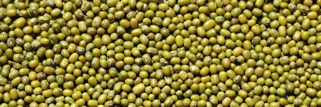 Detailed view on mung bean background. Green bean mash texture