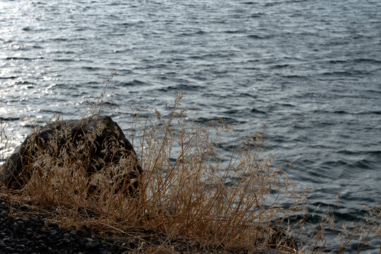 Rock and dried grasses beside Banks Lake near sunset