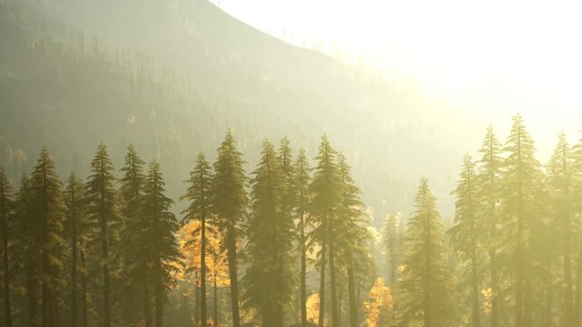 Sunlight filters through tall trees in a forest. Mountains rise in the background. Leaves are changing color as autumn approaches. The scene shows a natural setting with trees and hills.