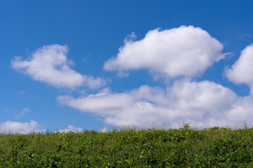 White cumulus clouds drifting over a deep blue autumn sky © kt