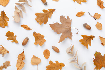 Autumn leaves with pumpkins on color background, top view © Liami