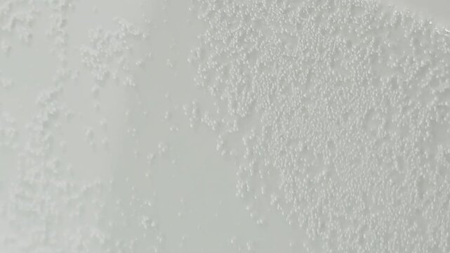 Bubbles are rising in a clear liquid. The motion captures the movement and texture of the bubbles closely.