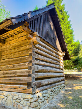 Corner of traditional log cabin with stone foundation. A wooden log building featuring interlocking timber walls rests on a masonry base near green pine trees.