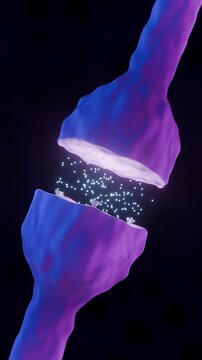 Blue and purple neuron synapse with a cloud of glowing neurotransmitters released across the synaptic gap, 3D render on dark background, vertical video