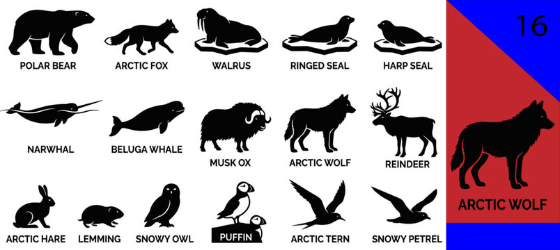 Black arctic animal silhouette icons set polar bear fox walrus seal narwhal beluga wolf reindeer hare owl puffin editable vector