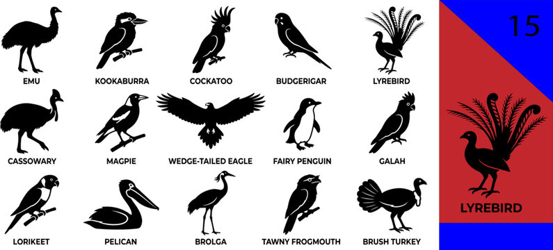 Black Australian bird silhouette icons set emu kookaburra cockatoo budgerigar lyrebird cassowary magpie eagle galah lorikeet pelican brolga editable vector