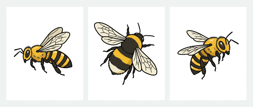 Set of three cartoon bees on transparent background