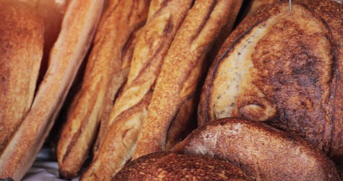 Bread - Bakery assortment of freshly baked artisan bread products including baguettes and buns. Bread is a staple food part of many cultures' diet. It is prepared from a dough of flour then baked.