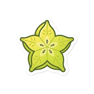 Cute star fruit carambola sticker, flat vector illustration