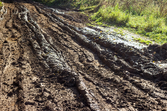 Deep muddy tire tracks cutting through a wet dirt road, featuring messy soil ruts and puddles under bright sunlight beside green grass
