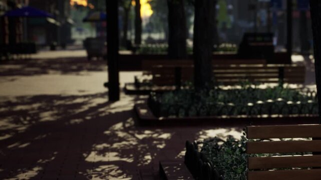 The scene shows an empty street in the city with benches and trees. The sun sets in the background, casting shadows on the ground. Few people are walking in the distance.