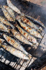 Fresh sardines arranged on a charcoal grill over glowing charcoal, ready for grilling. The silver-blue fish display their natural scales and distinctive features, with crushed charcoal visible beneath © Pedro